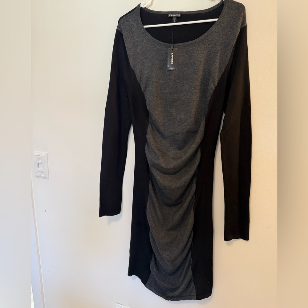 *NWT* Express long sleeve sweater dress